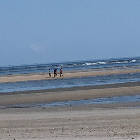 Meet the posher - Picture 2 of 2